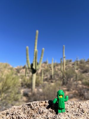 Tucson Mountain District by null