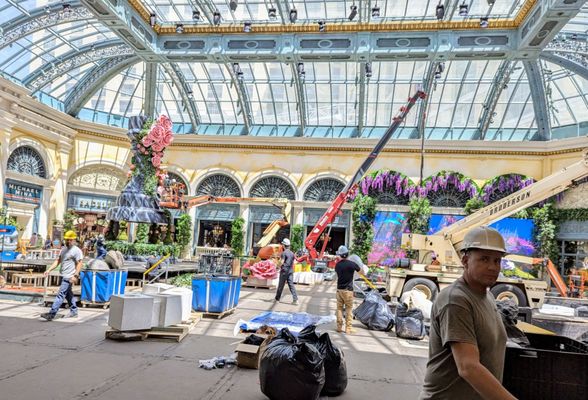 Bellagio Conservatory & Botanical Gardens by null