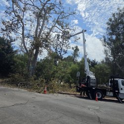 TSL Tree Service & Landscaping