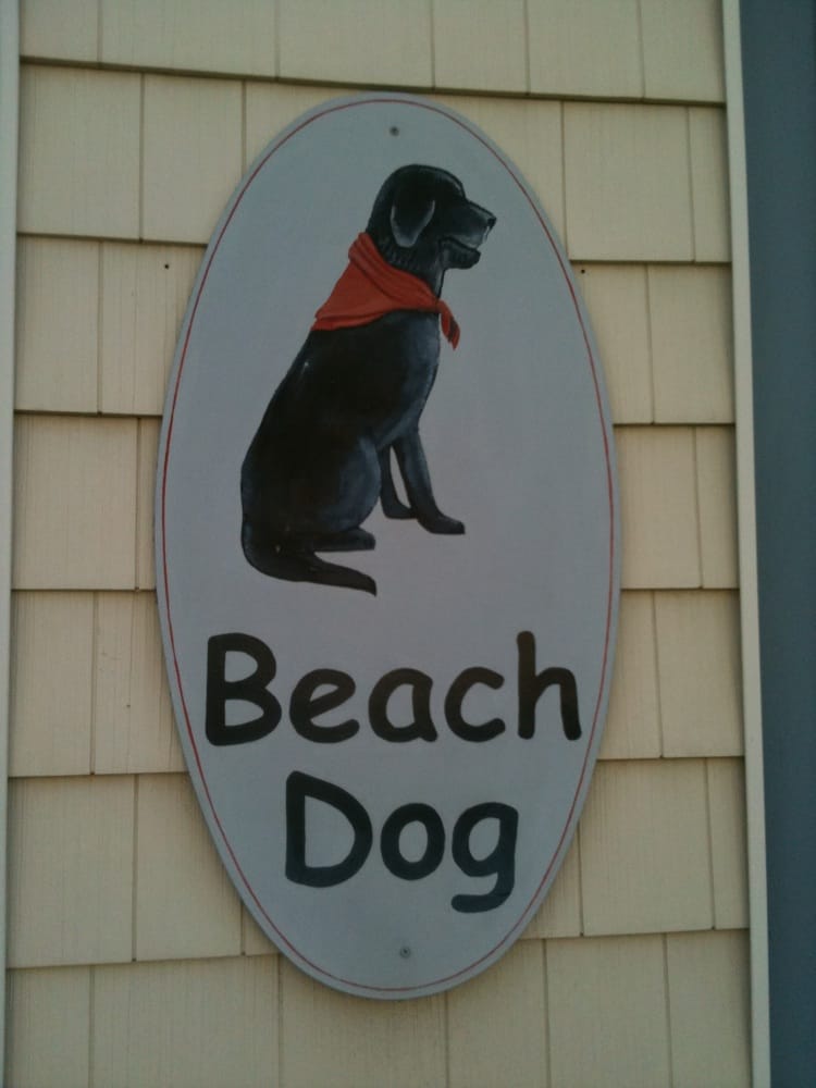 BEACH DOG Updated September 2024 5 Main St, York, Maine Gift