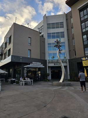 Parlor Doughnuts by null