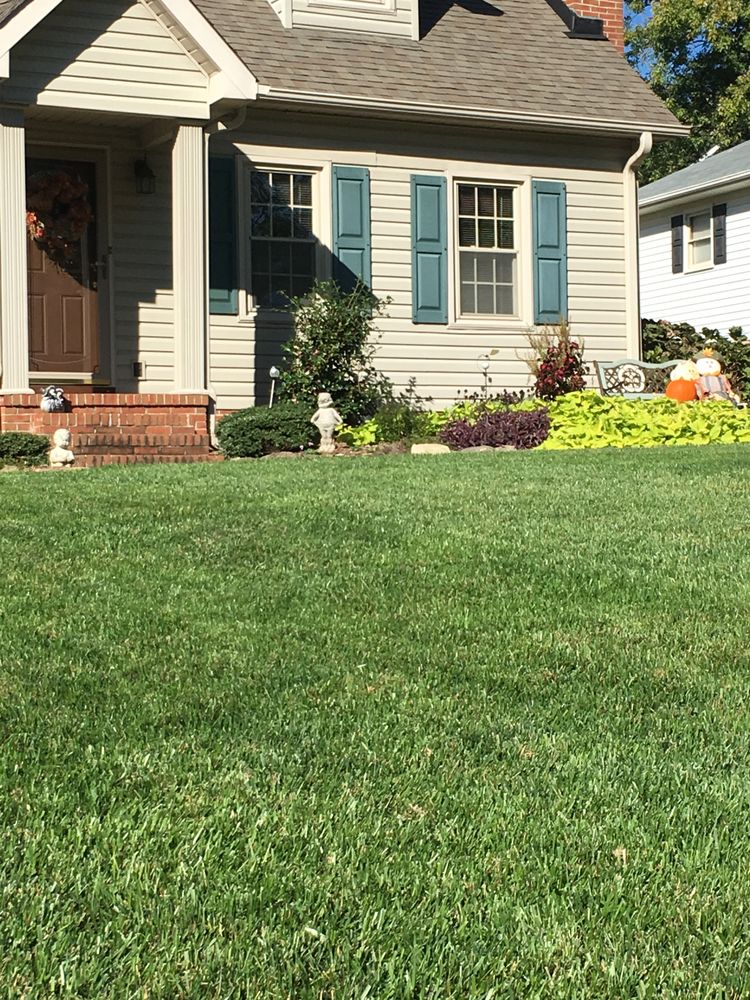 ALLGREEN LAWN CARE Updated September 2024 Greenville, South