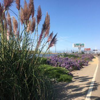 Bay Bridge Trail - Hiking Near Me - Oakland, California