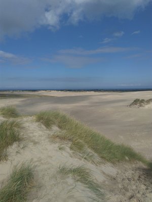 Råbjerg Mile by null