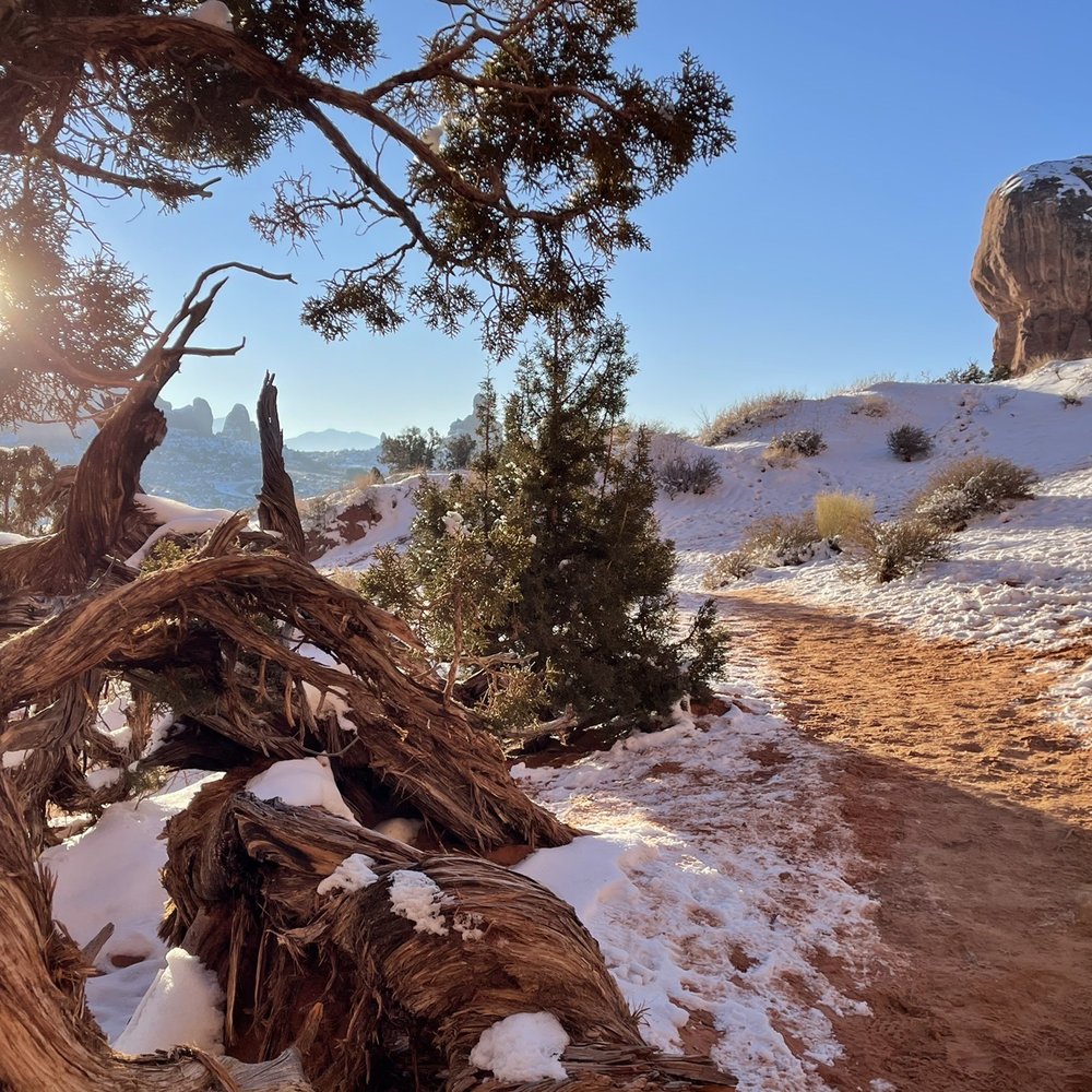 Double Arch - Double Arch trail to parking area - just after sunrise 01.01.2021 - Hiking Near Me - Utah, Utah