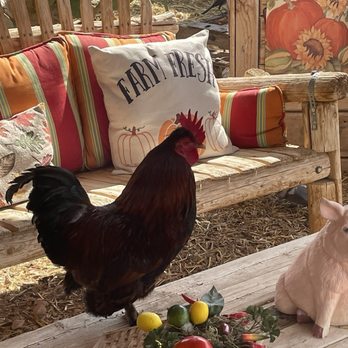 McKee Ranch - Ranches Near Me - Las Vegas, Nevada