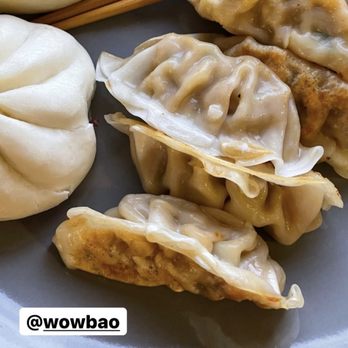 Wow Bao - 8 Pack Dumplings & 6 Pack of Bao - Noodles Near Me - Indianapolis, Indiana Wow Bao - 8 Pack Dumplings & 6 Pack of Bao - Noodles Near Me - Indianapolis, Indiana