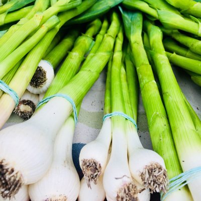 Foodwise by null