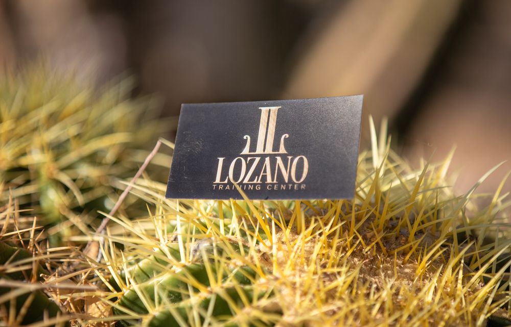 Lozano Training Center Logo