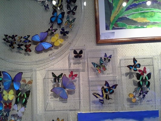 Gallery of Great Things by null