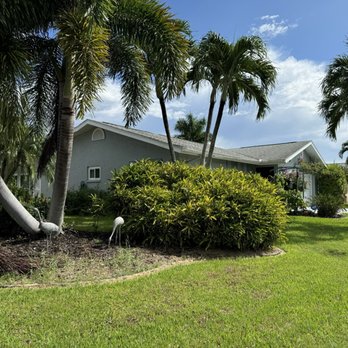 Wilkinson Landscaping - Before - Lawn Services Near Me - North Fort Myers, Florida Wilkinson Landscaping - Before - Lawn Services Near Me - North Fort Myers, Florida