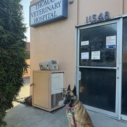 Stella @ Thomas  veterinary