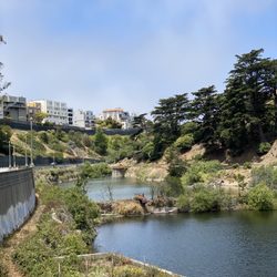 Laguna Honda Reservoir