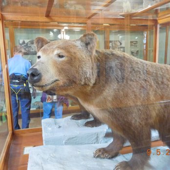 Banff Park Museum - Museums Near Me - Banff, Alberta Banff Park Museum - Museums Near Me - Banff, Alberta