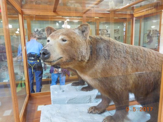 Banff Park Museum National Historic Site by null