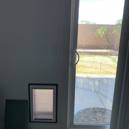 My 5 month old Frenchie using it the same day it was installed