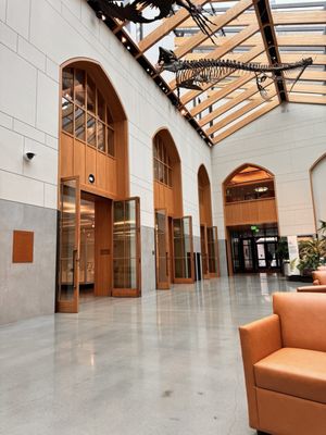 Yale Peabody Museum by null