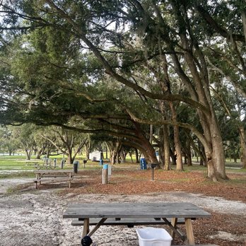 Wilderness Shores - Our camp site - Campgrounds Near Me - Lakeland, Florida Wilderness Shores - Our camp site - Campgrounds Near Me - Lakeland, Florida