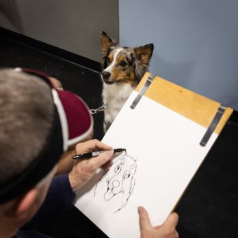 Zoom Room Dog Training - Pet Training Near Me - Saint Louis, Missouri Zoom Room Dog Training - Pet Training Near Me - Saint Louis, Missouri