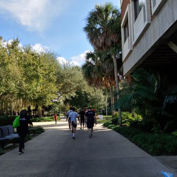 UCF Art Gallery - Art Galleries Near Me - Orlando, Florida UCF Art Gallery - Art Galleries Near Me - Orlando, Florida