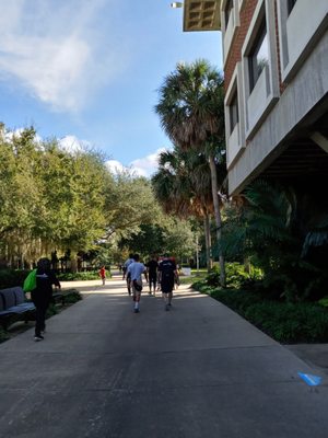 UCF Art Gallery by null