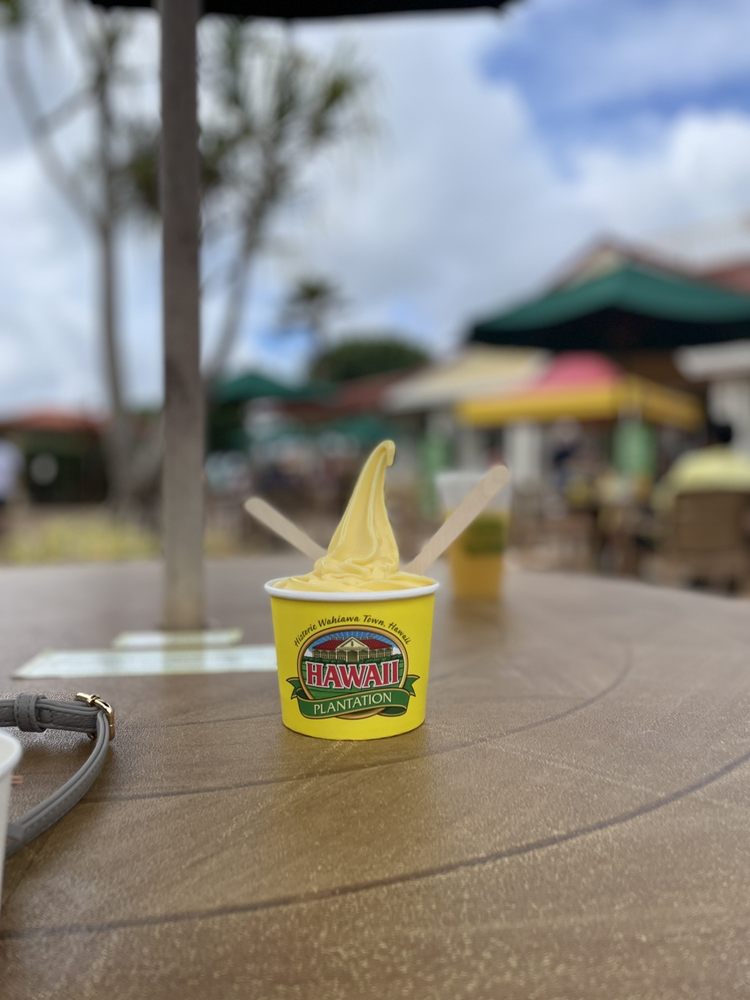 Hi5 Tours Hawaii Logo