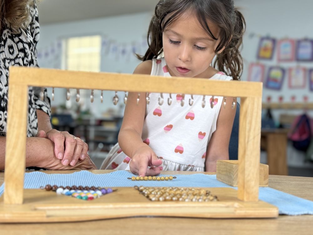 Montessori Country Day School - childcare center in Flower Mound, TX