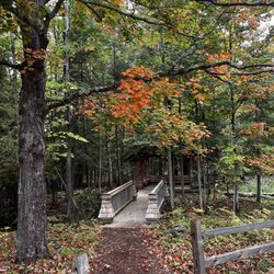 Thorne Swift Nature Preserve