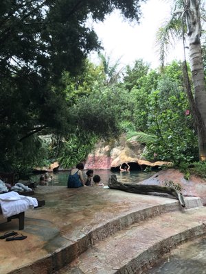 The Lost Spring by null