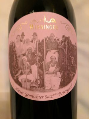 WEIN & CO Wien Stephansplatz – Weinbar & Flagshipstore by null