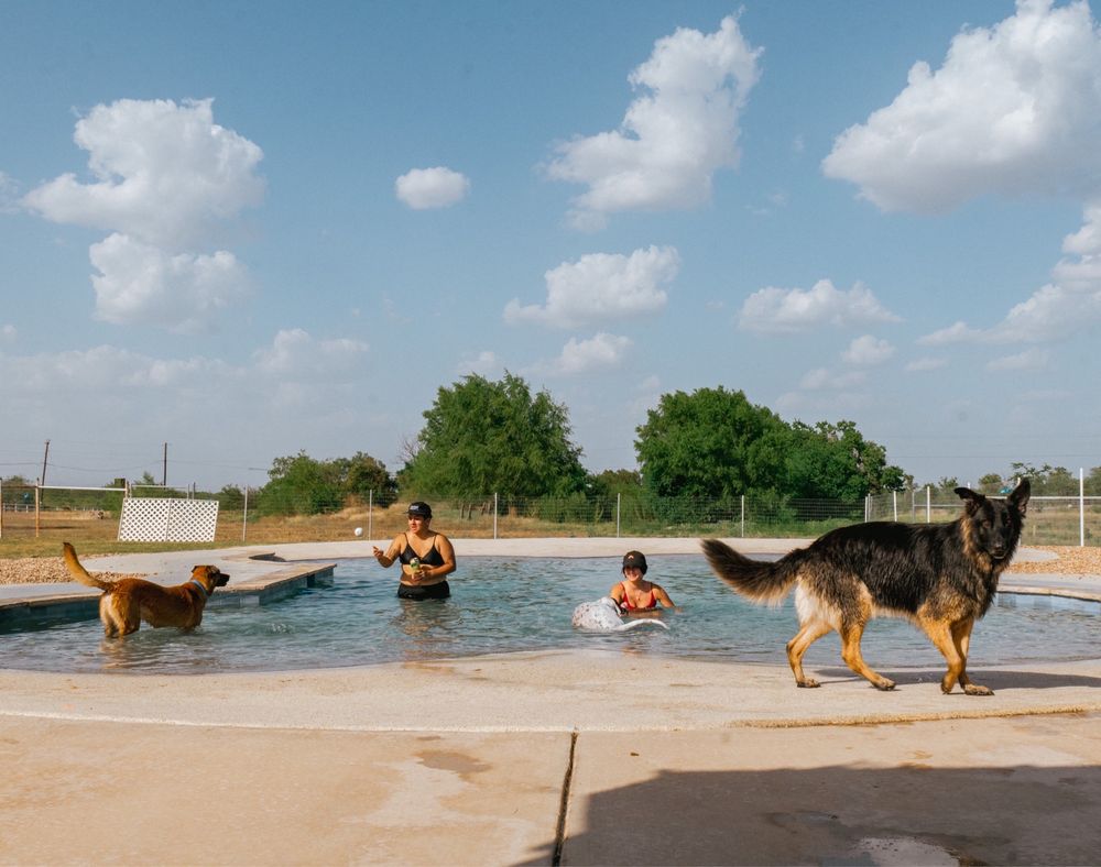 K9 Water World Logo