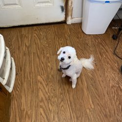 Stephanie's Pet Cottage