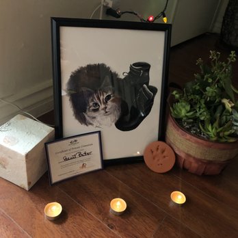 West Coast - Our peanut butter baby - Pet Cremation Services Near Me - Sun Valley, California West Coast - Our peanut butter baby - Pet Cremation Services Near Me - Sun Valley, California