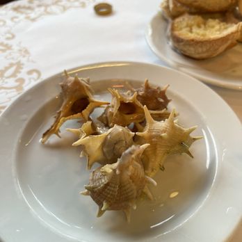 Cervejaria Ramiro - Spiny murex - Seafood Near Me - Lisbon, 11