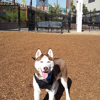 LA Live - Dog Parks Near Me - Los Angeles, California LA Live - Dog Parks Near Me - Los Angeles, California