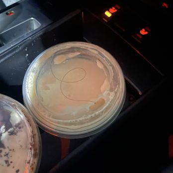 Starbucks - Coffee & Tea Near Me - Dallas, Texas