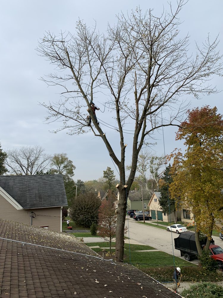 BUR OAK TREE SERVICE Updated May 2024 Carpentersville, Illinois