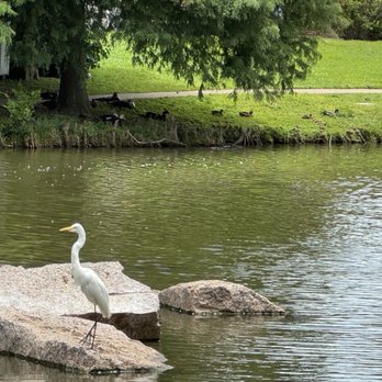 Lake Pointe Running Trail - Lake Pointe Running Trail - Lakes Near Me