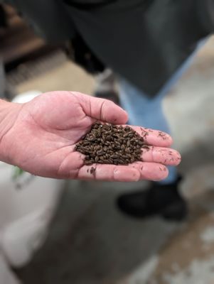 Rouge River Brewing Company by null