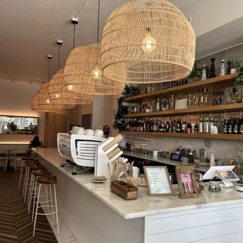 Little Tina - Coffee & Tea Near Me - Tampa, Florida Little Tina - Coffee & Tea Near Me - Tampa, Florida