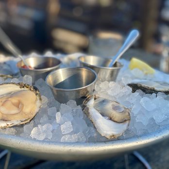 La Lucha - Oysters ($1.50 each for happy hour) - Seafood Near Me - Houston, Texas