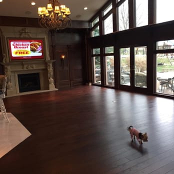 Suburban Floors - a dog in a living room - Flooring Near Me Suburban Floors - a dog in a living room - Flooring Near Me