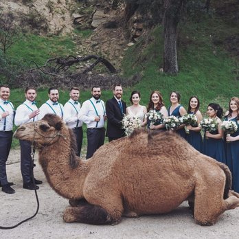Reptacular Animals - Party & Event Planning Near Me - Sun Valley, California Reptacular Animals - Party & Event Planning Near Me - Sun Valley, California