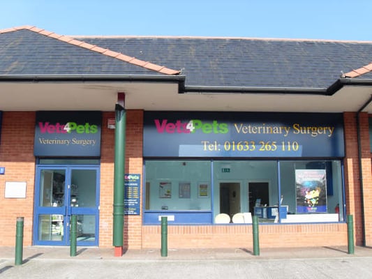 Sale vets for pets milton road Flash Sales Black Friday