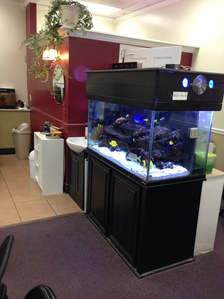 DAVI NAIL Updated July 2024 2505 Lincolnton Hwy, Cherryville, North Carolina Nail Salons