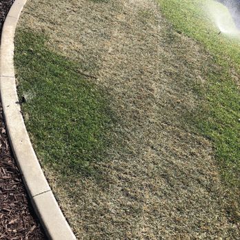 Aloha Landscape - Landscaping Near Me - Hemet, California Aloha Landscape - Landscaping Near Me - Hemet, California