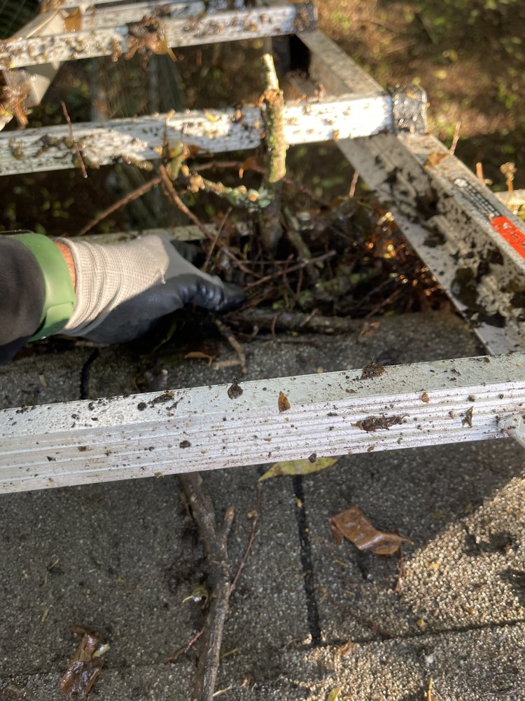 Slide of Marcus Gutters Cleaning