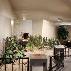Great Plains Zoo & Delbridge Museum of Natural History