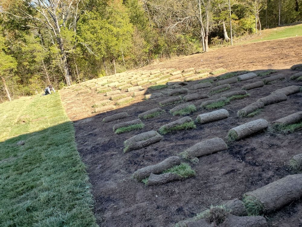 ALEXANDER LAWN & LANDSCAPING with 10 real customer photos Updated August 2024 Columbia