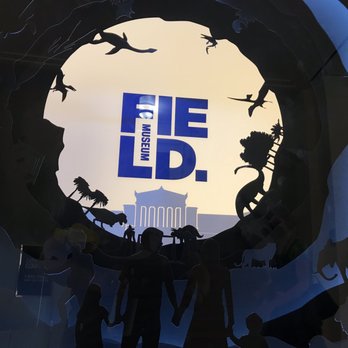 Field Museum - silhouette in museum store - Museums Near Me - Chicago, Illinois